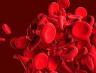 Akdeniz Anemisi Tedavisi Akdeniz Anemisi Nasıl Tedavi Edilir