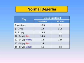 Akdeniz Anemisi Kan Değerleri Nedir ve Kaç Olmalıdır?